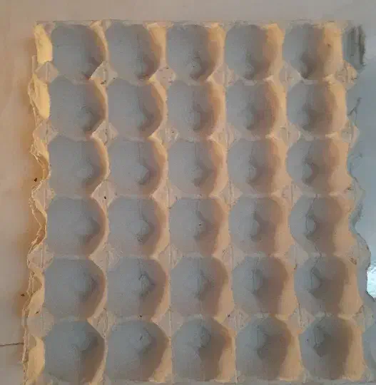 شانه تخم مرغ|کلکسیون و سرگرمی|قم, نوبهار|دیوار