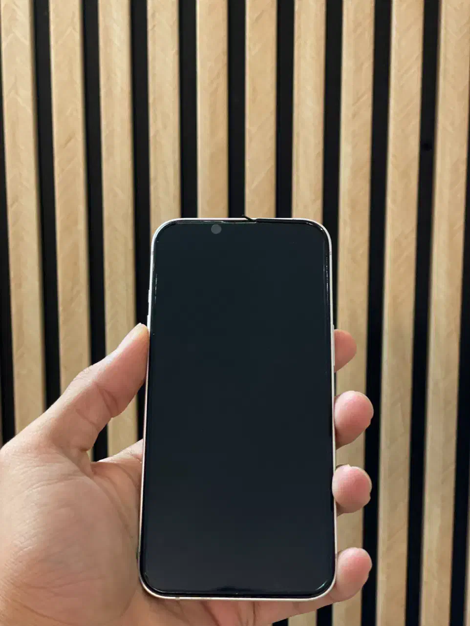 اپل iPhone 13 با حافظهٔ ۲۵۶ گیگابایت|موبایل|مشهد, گلبرگ شمالی|دیوار