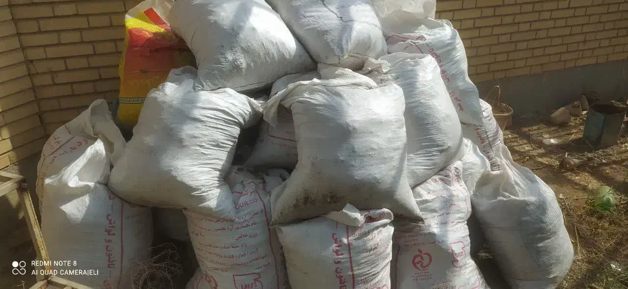 کود کفتر|گل و گیاه طبیعی|شیراز, کوشک میدان|دیوار