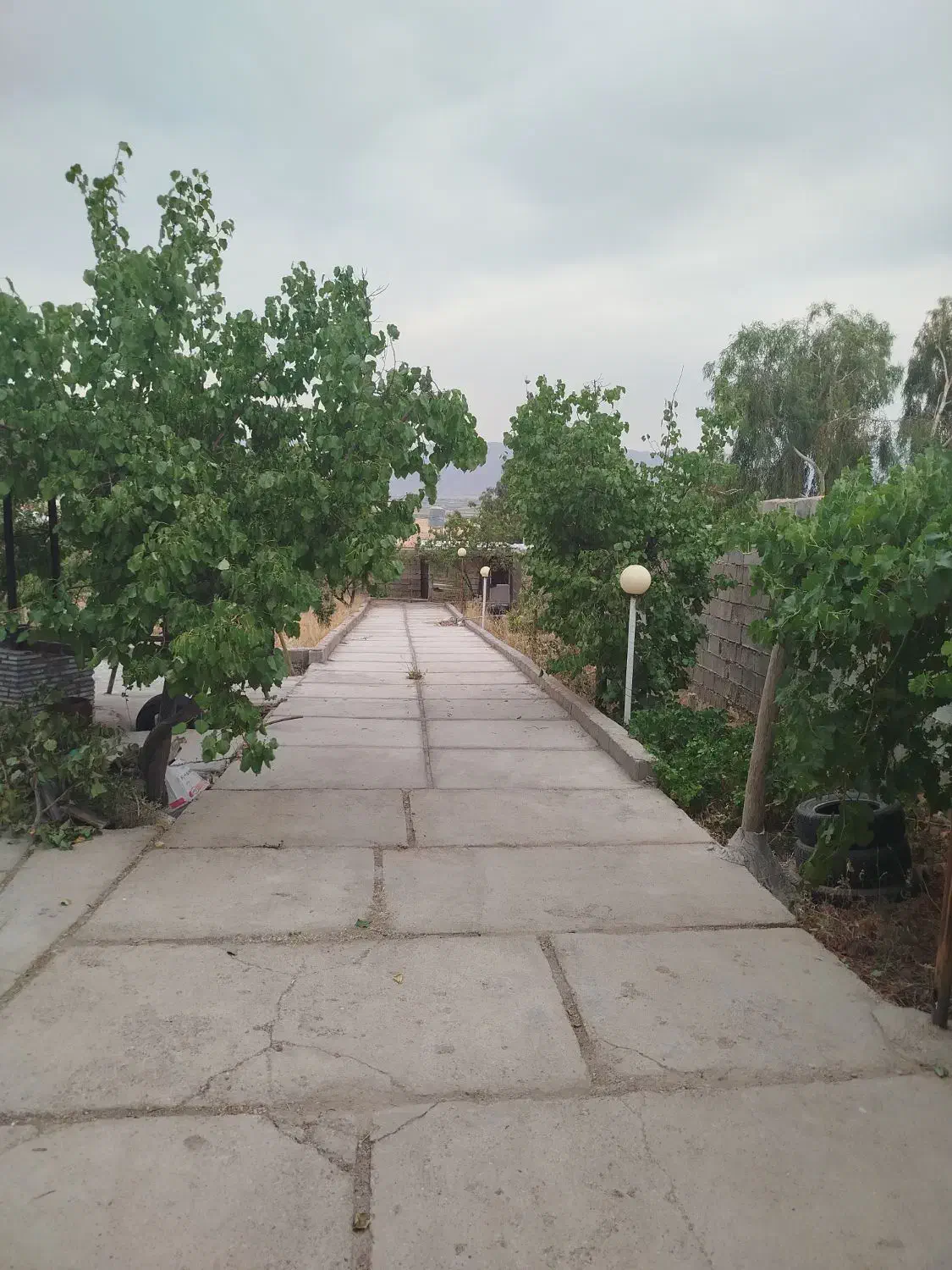 باغ شهری سیاخ دارنگان (فروش خیلی فوری)|فروش خانه و ویلا|سیاخ دارنگون, |دیوار