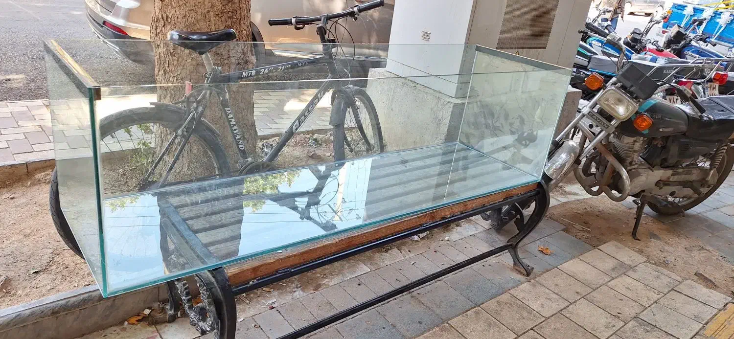 آکواریوم|ماهی|بجنورد, |دیوار