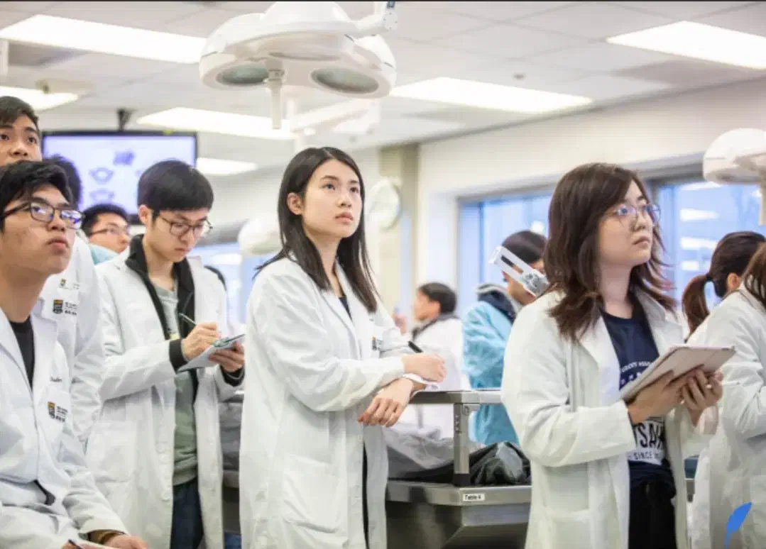 تحصیل پزشکی و دندانپزشکی در چین|خدمات آموزشی|همدان, |دیوار