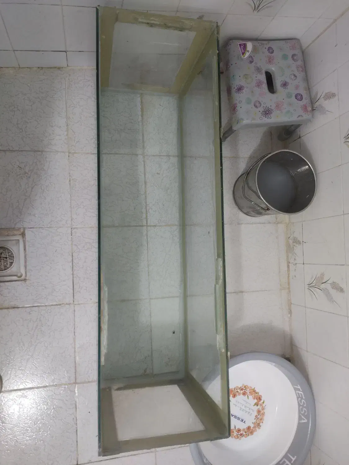 اکواریوم بزرگ|ماهی|شیراز, اصلاح‌نژاد|دیوار