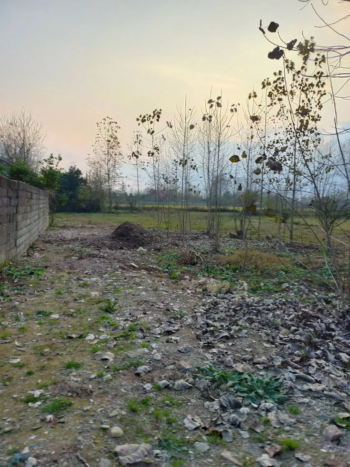 فروش زمین مسکونی|فروش زمین و ملک کلنگی|تهران, انبار نفت|دیوار