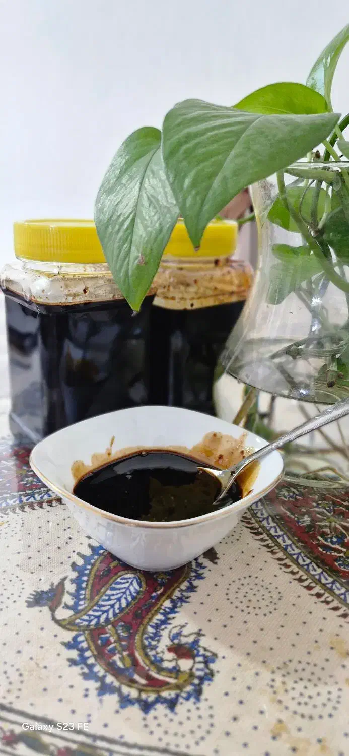 رب انارارگانیک محصول امسال کازرون|خوردنی و آشامیدنی|اهرم, |دیوار