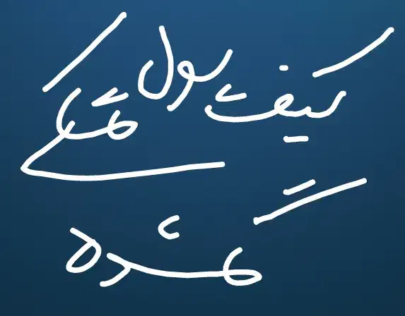 کیف پول مشکی حوالی آبعلی و رودهن گمشده|اشیا|آبعلی, |دیوار