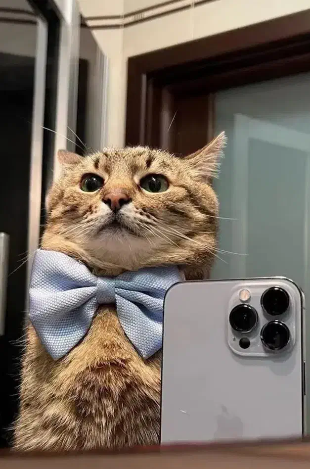 گوشی طرح s24الترا|موبایل|دورود, |دیوار