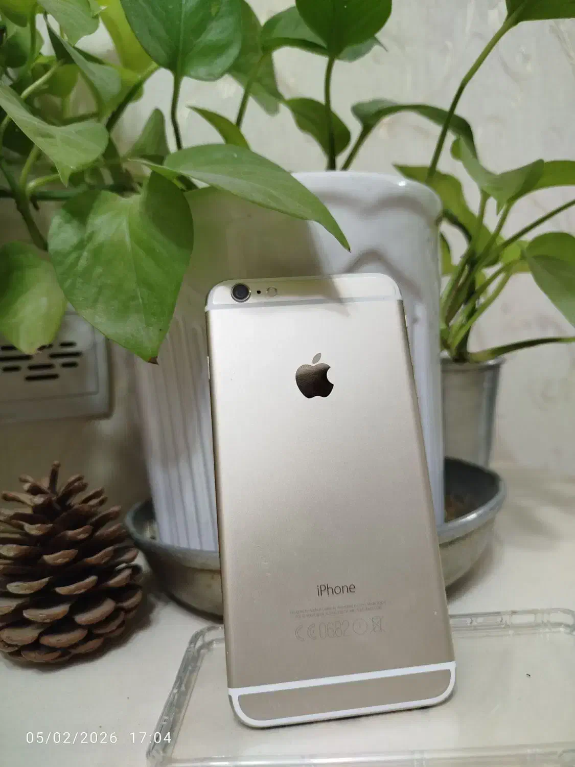 آیفون 6 پلاس|موبایل|شوش, |دیوار