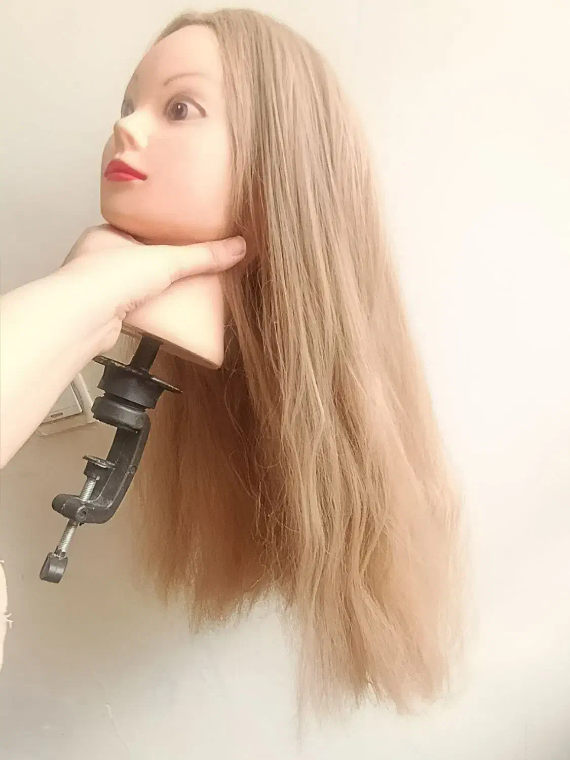 کله مانکن|آرایشگاه و سالنهای زیبایی|مشهد, کارگران|دیوار