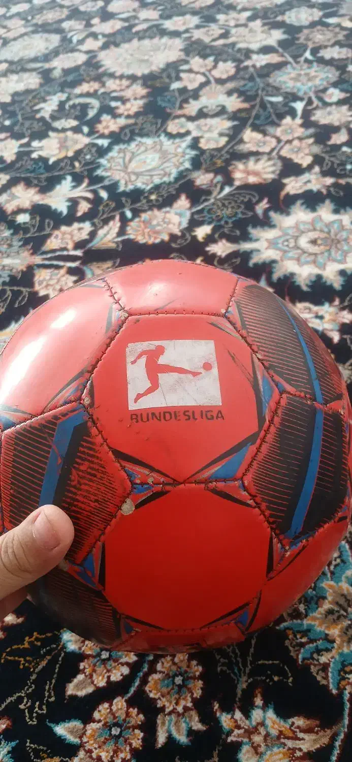 توپ نو نو اصل|ورزشهای توپی|رومشکان, |دیوار