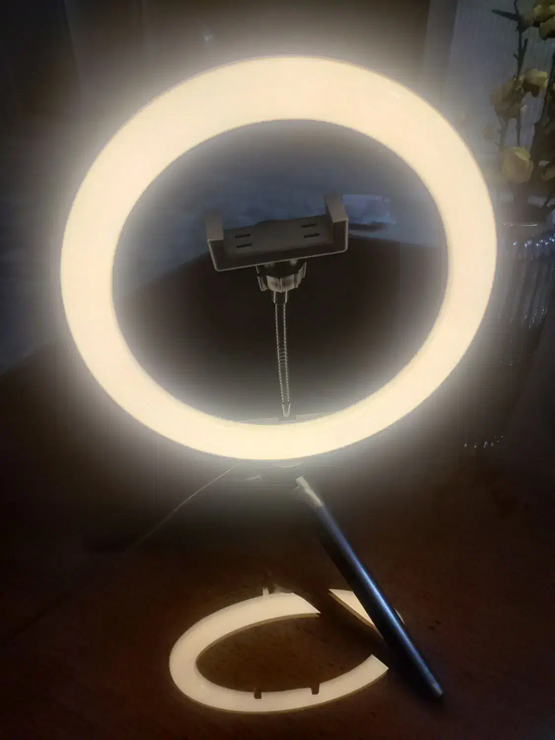 رینگ لایت|دوربین عکاسی و فیلم‌برداری|محمدشهر, محمدشهر|دیوار