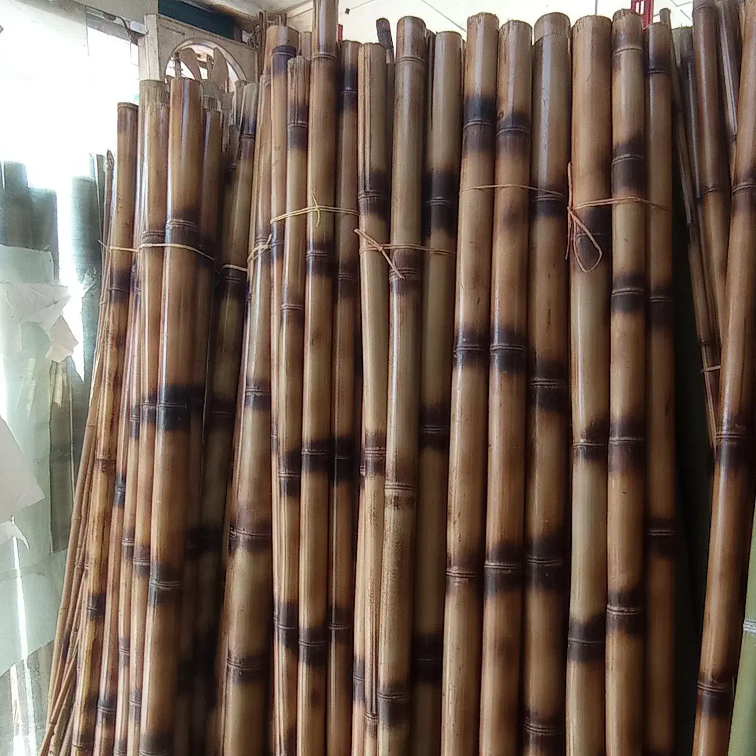 ۴عدد نی بامبو گم کردم|اشیا|زنجان, |دیوار