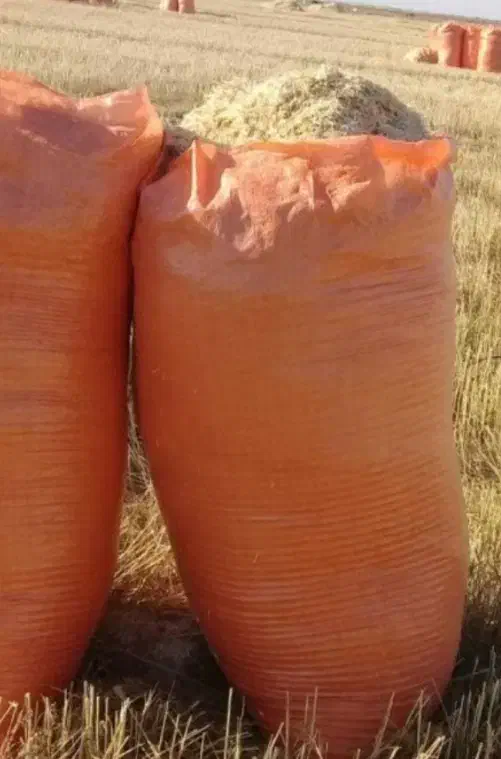 کاه خلال کوبیده و پرس|لوازم جانبی حیوانات|شیروان (خراسان), |دیوار