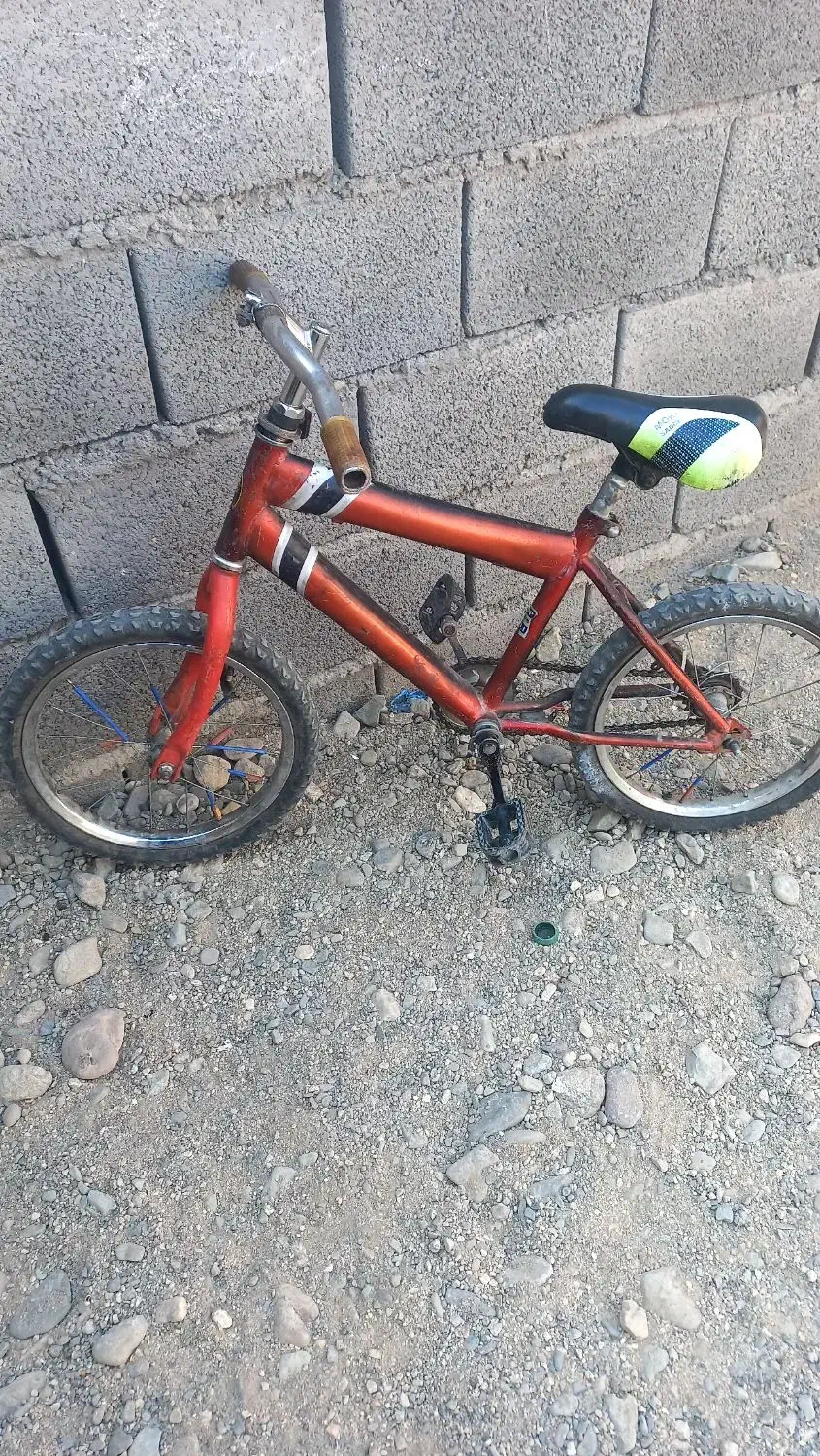 دوچرخه سایز۱۶|دوچرخه، اسکیت، اسکوتر|جیرفت, |دیوار