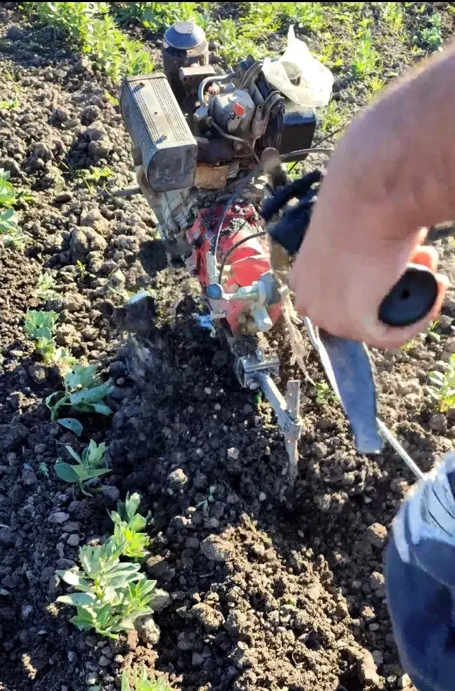 کار با کلتیواتور|خدمات باغبانی و درختکاری|آق قلا, |دیوار