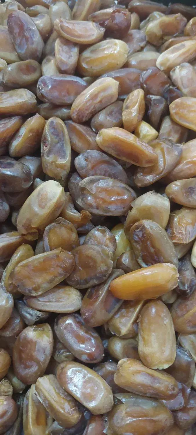 خرمابی هسته|خوردنی و آشامیدنی|قم, قلعه کامکار|دیوار