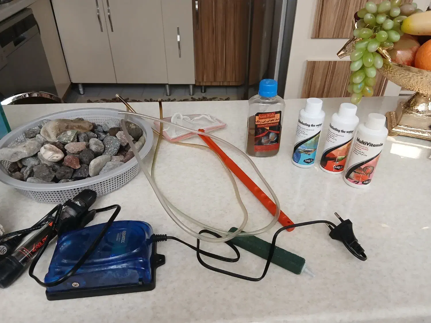 آکواریوم با تجهیزات|ماهی|تبریز, |دیوار