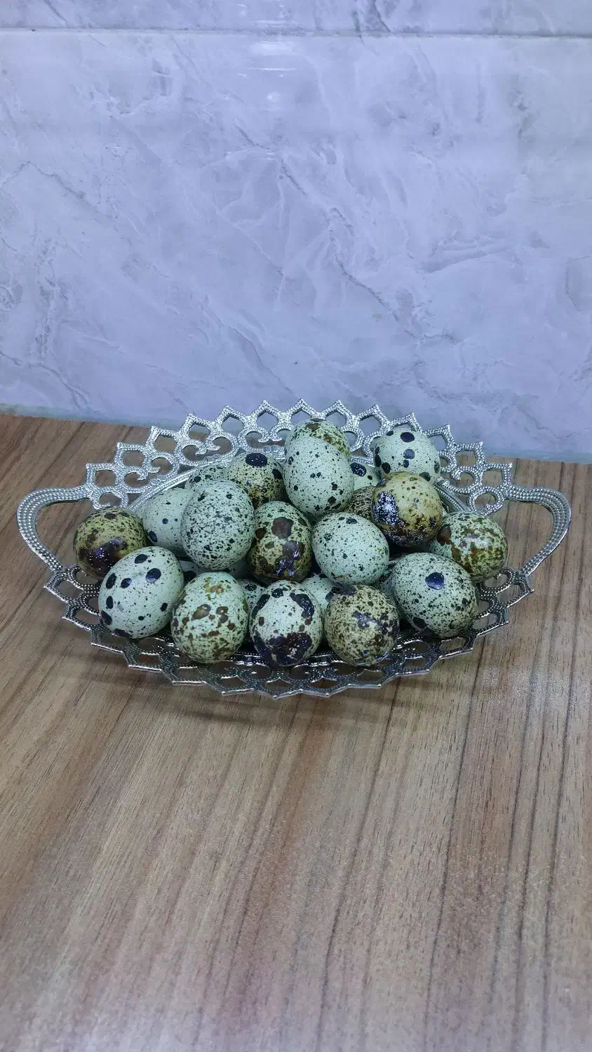 بلدرچین و   تخم  نطفه دار  وایت سنگین وزن|حیوانات مزرعه|قم, شهرک امام حسین|دیوار