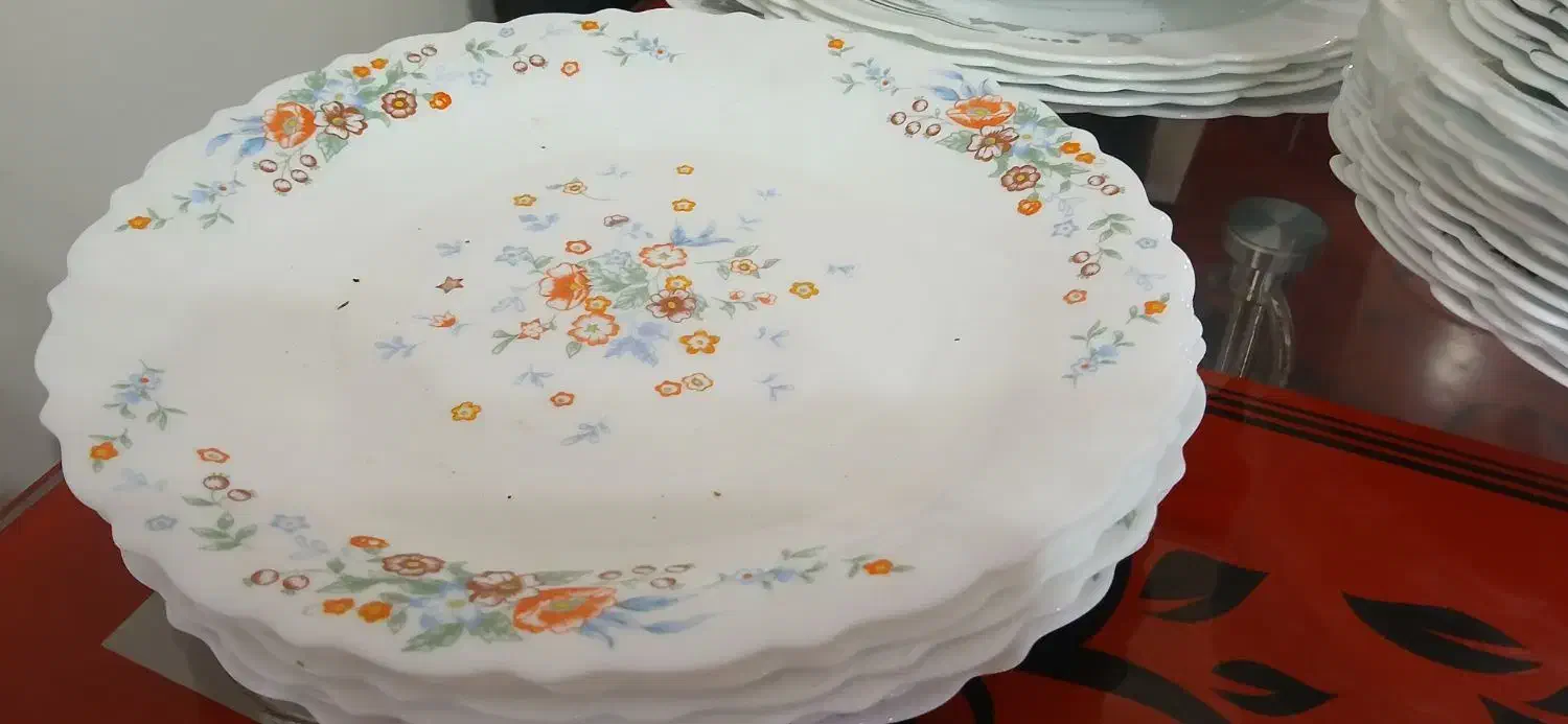 ظروف ارکوپال نو|ظروف سرو و پذیرایی|قم, بنیاد|دیوار