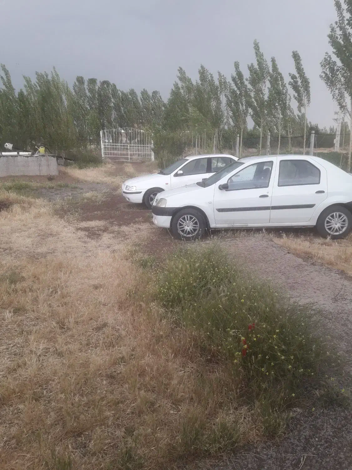 زمین باغ ویلا جاده خلخال نرسیده پلیس راه ارللو|فروش زمین و ملک کلنگی|هیر, |دیوار