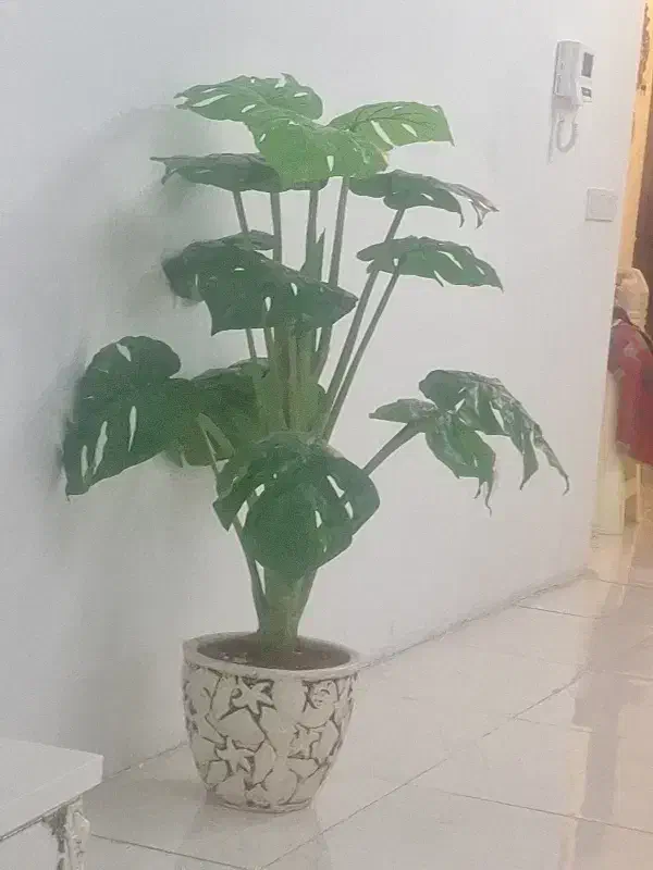 درختچه|گل مصنوعی|کرج, کیانمهر|دیوار