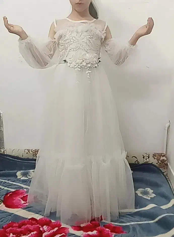 لباس مجلسی|لباس|سمنان, |دیوار