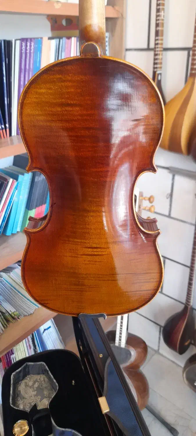 ویلن TF  مدل 800|ویولن|قزوین, |دیوار