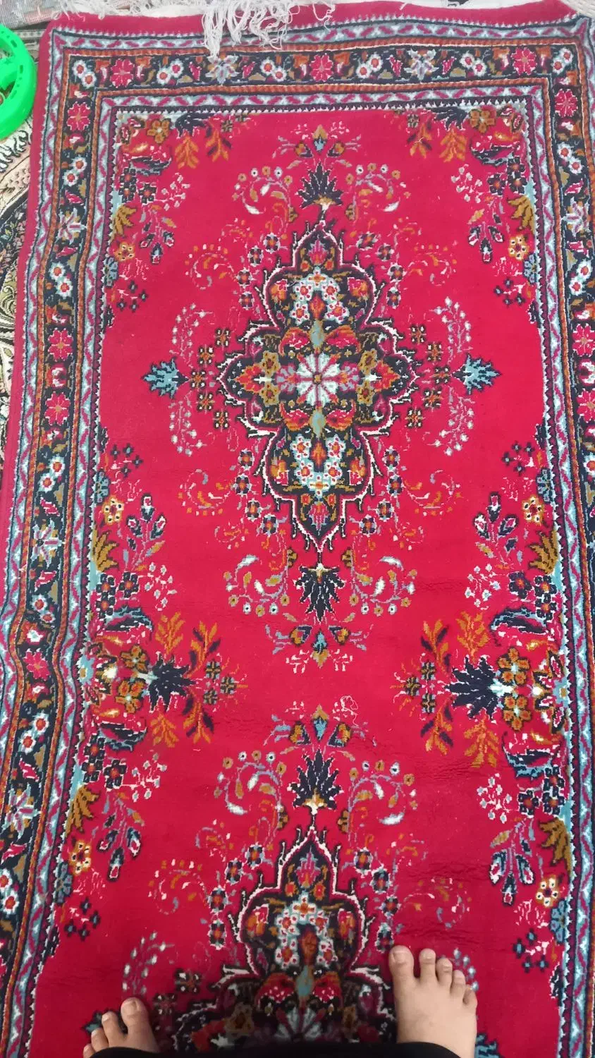 قالیچه نو|فرش|گلبهار, شهر جدید گلبهار|دیوار