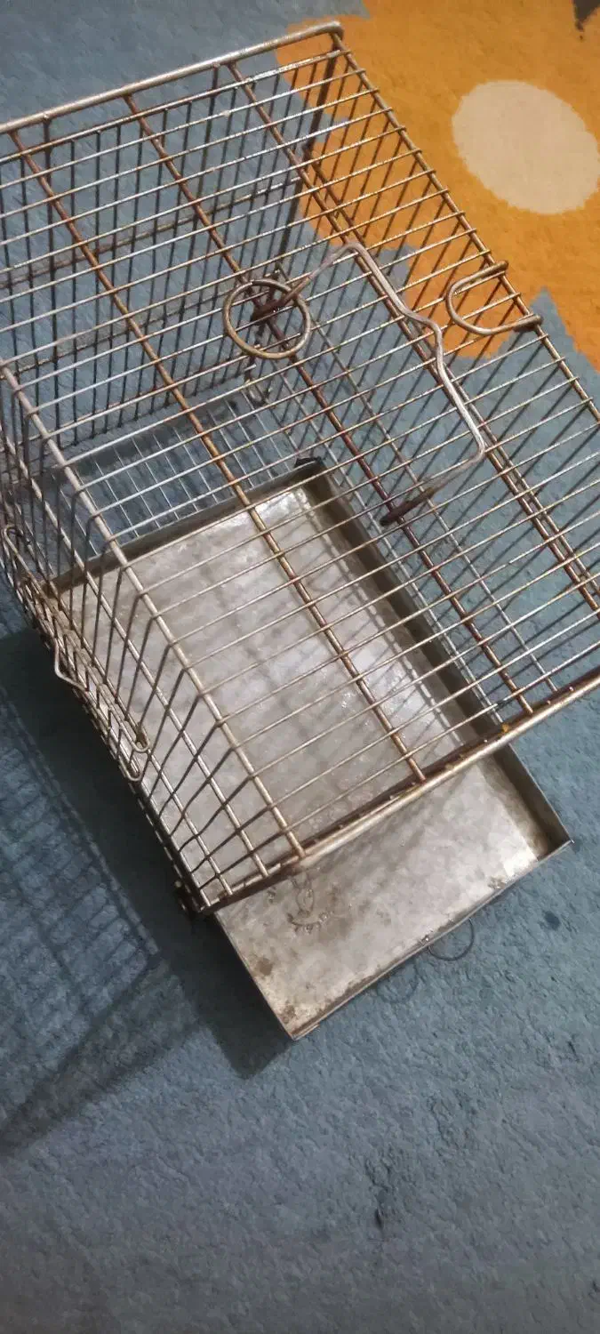 قفس و لوازم|لوازم جانبی حیوانات|محمدشهر, شهرک پیام (مهرالبرز)|دیوار