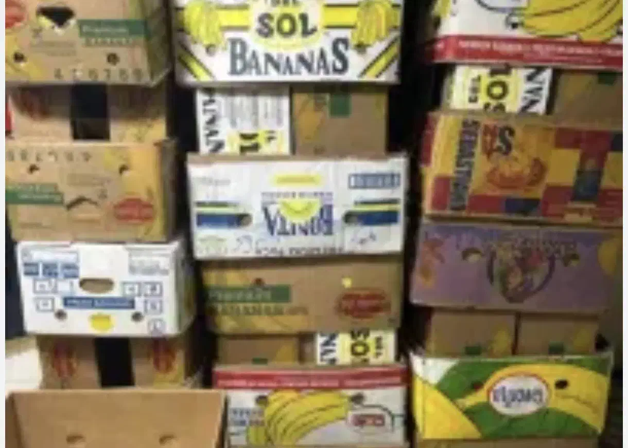 کارتن موزی|حراج|مشهد, هفت تیر (نه دره)|دیوار