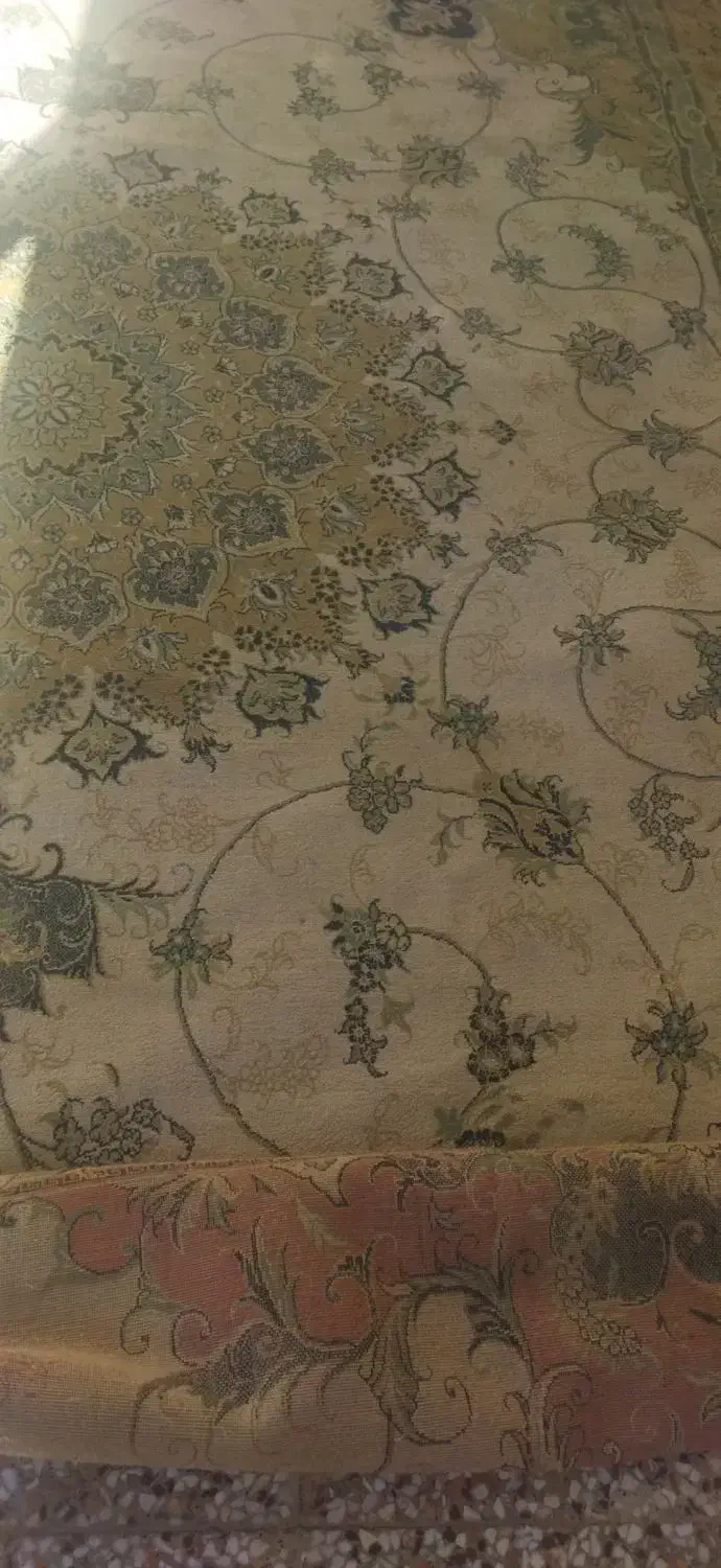 فروش قالی|فرش|شهرضا, |دیوار