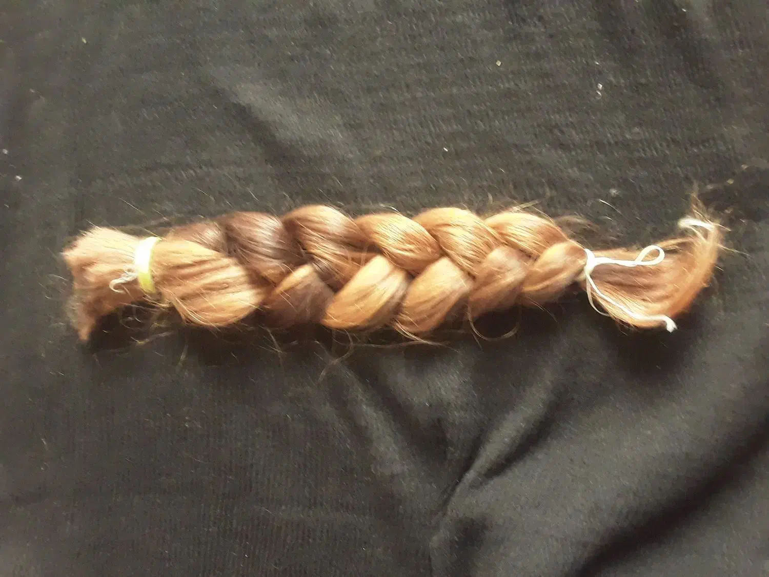 موسر|آرایشی، بهداشتی، درمانی|سنقر, |دیوار