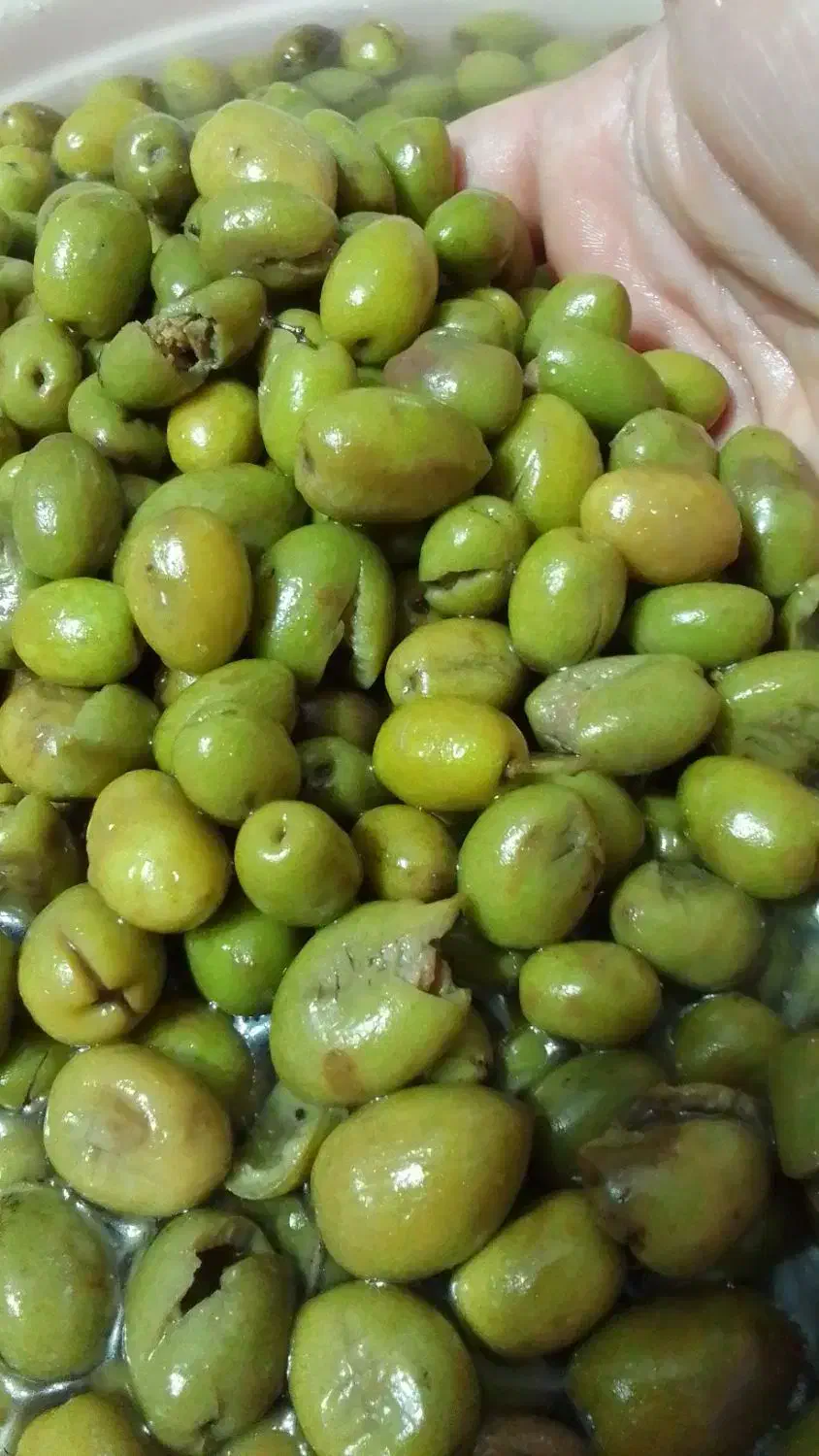 فروش محصولات خونگی|خوردنی و آشامیدنی|رشت, کاکتوس|دیوار