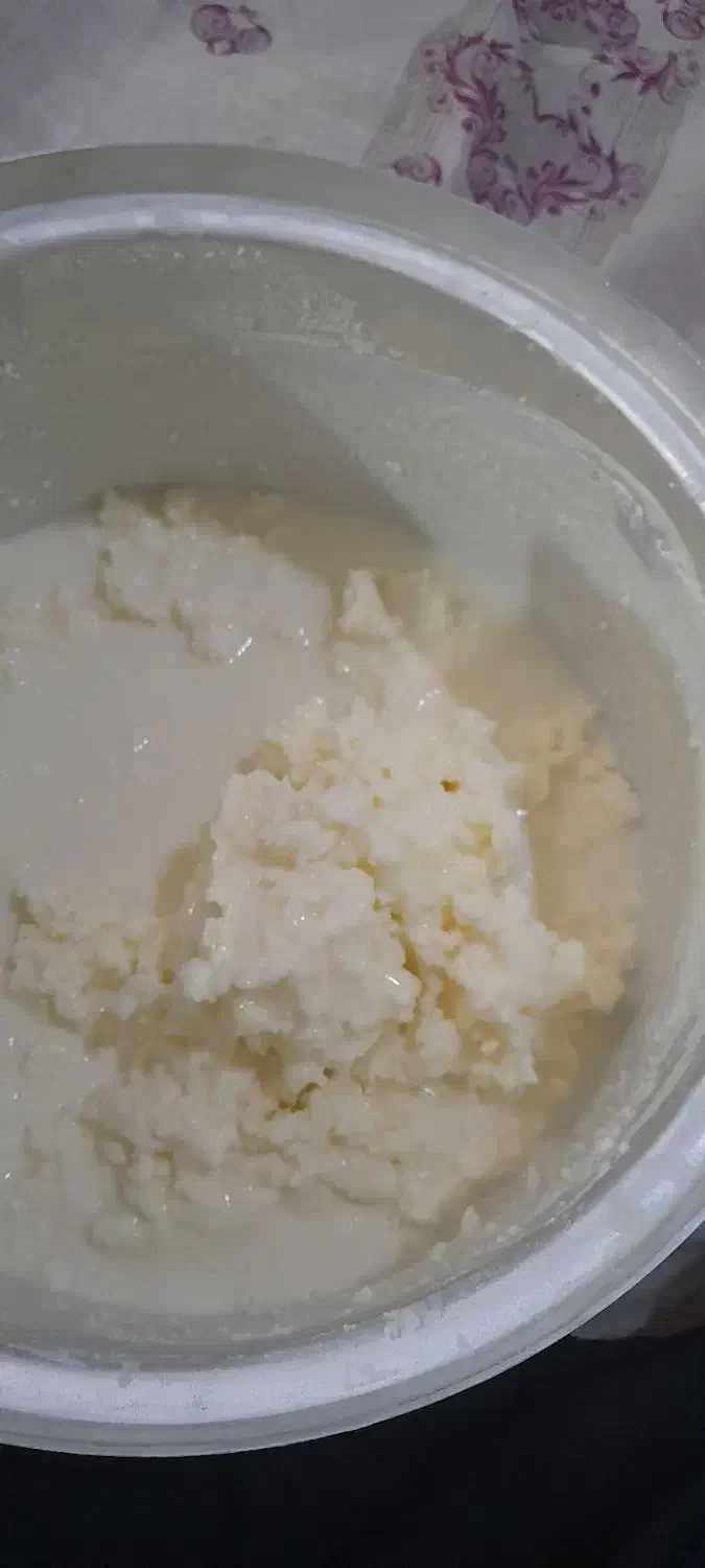 کره وماست پوستی|خوردنی و آشامیدنی|نیشابور, منظر|دیوار