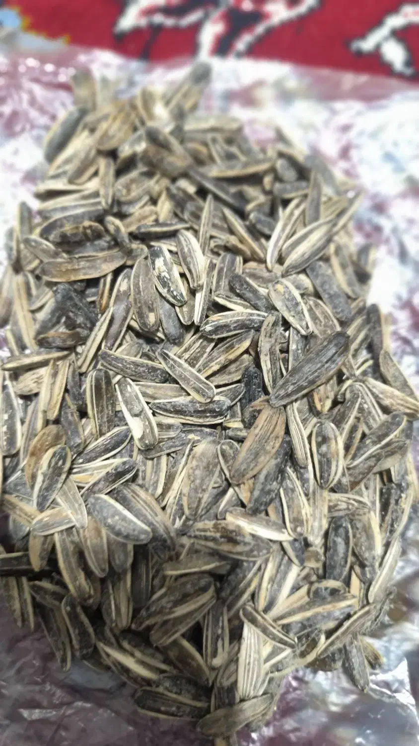 فروش تخمه سنقری|خوردنی و آشامیدنی|خزل, |دیوار