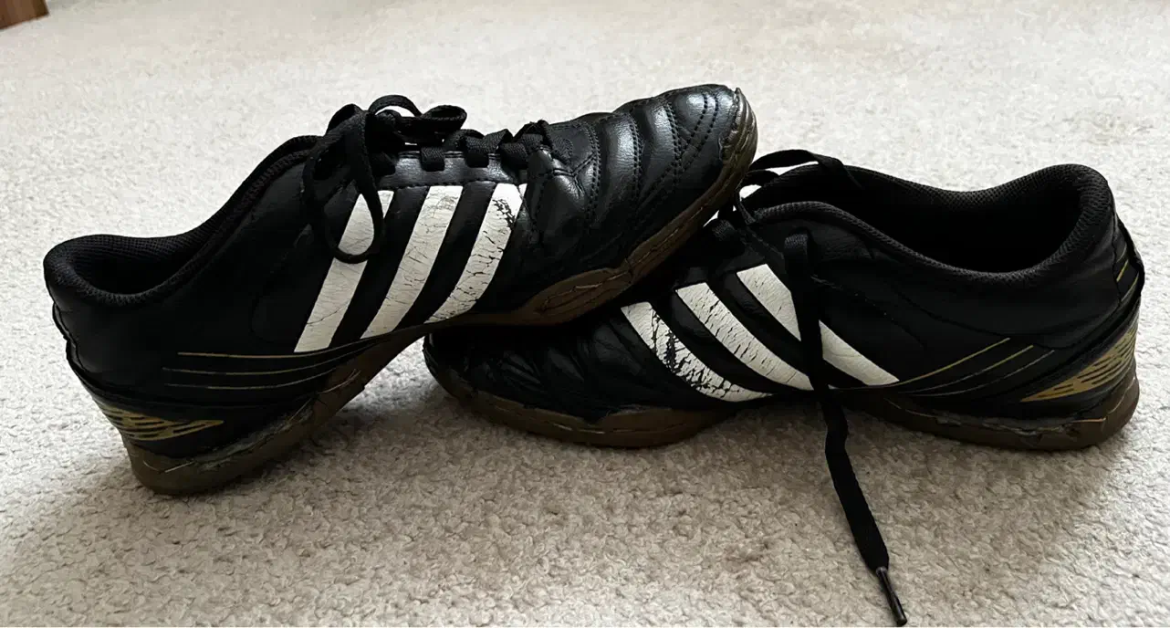 کفش فوتسال اورجینال آدیداس داویتکو|کیف، کفش، کمربند|اردبیل, |دیوار