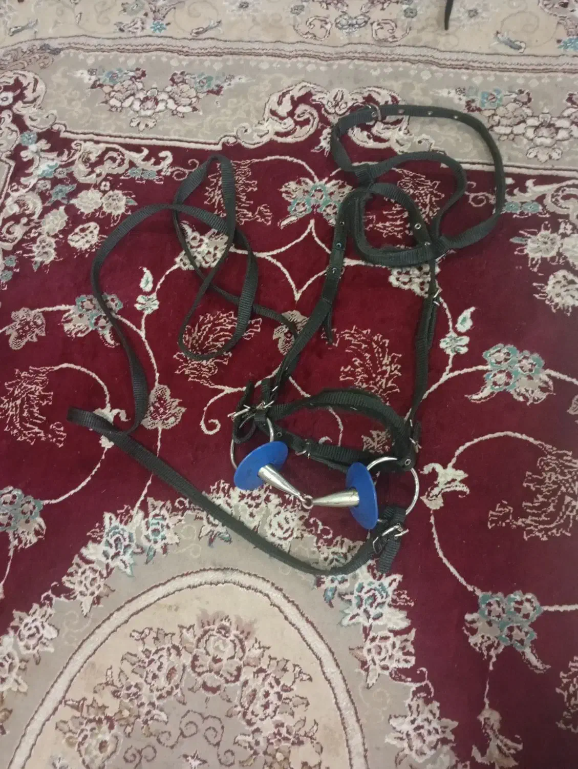 زین اسب|اسب و تجهیزات اسبسواری|تولم شهر, |دیوار