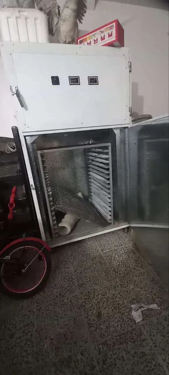 دستگاه میوه خشک کن|ماشینآلات صنعتی|بروجرد, |دیوار