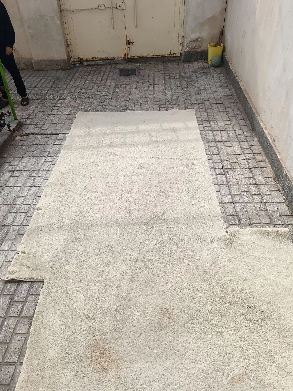 فرش|فرش|تایباد, |دیوار