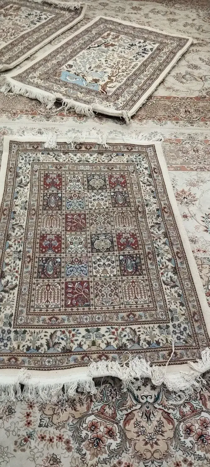 قالی دستگاه|فرش|جلگه ماژان, |دیوار