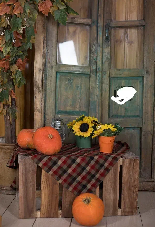 دکور آتلیه و عکاسی مناسب یلدا و عید نوروز|صنایع دستی و سایر لوازم تزئینی|همدان, |دیوار