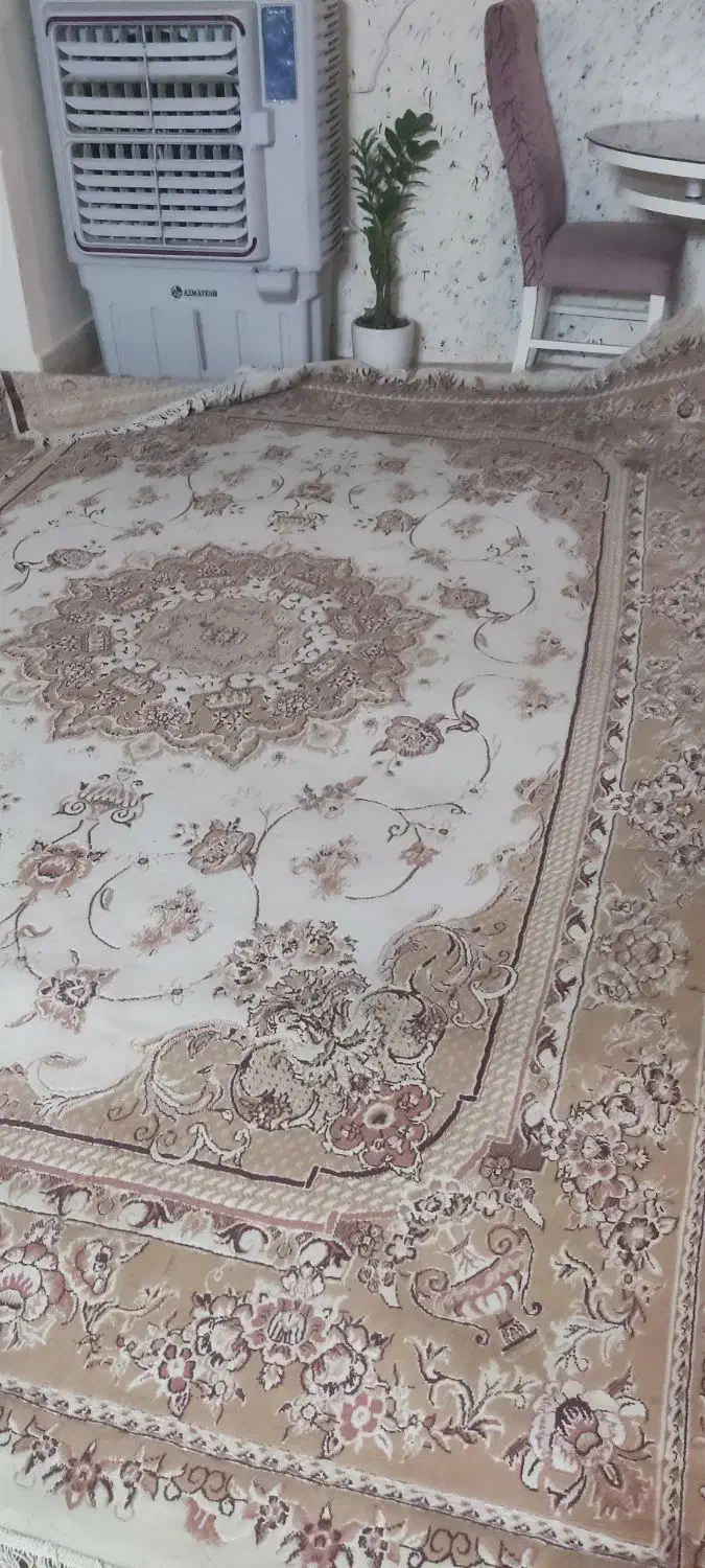 فرش  9متری سالم|فرش|رباط‌کریم, رباط‌کریم|دیوار