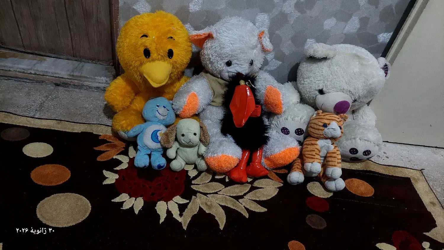 عروسک|اسباببازی بچه|قرچک, مهدیه|دیوار