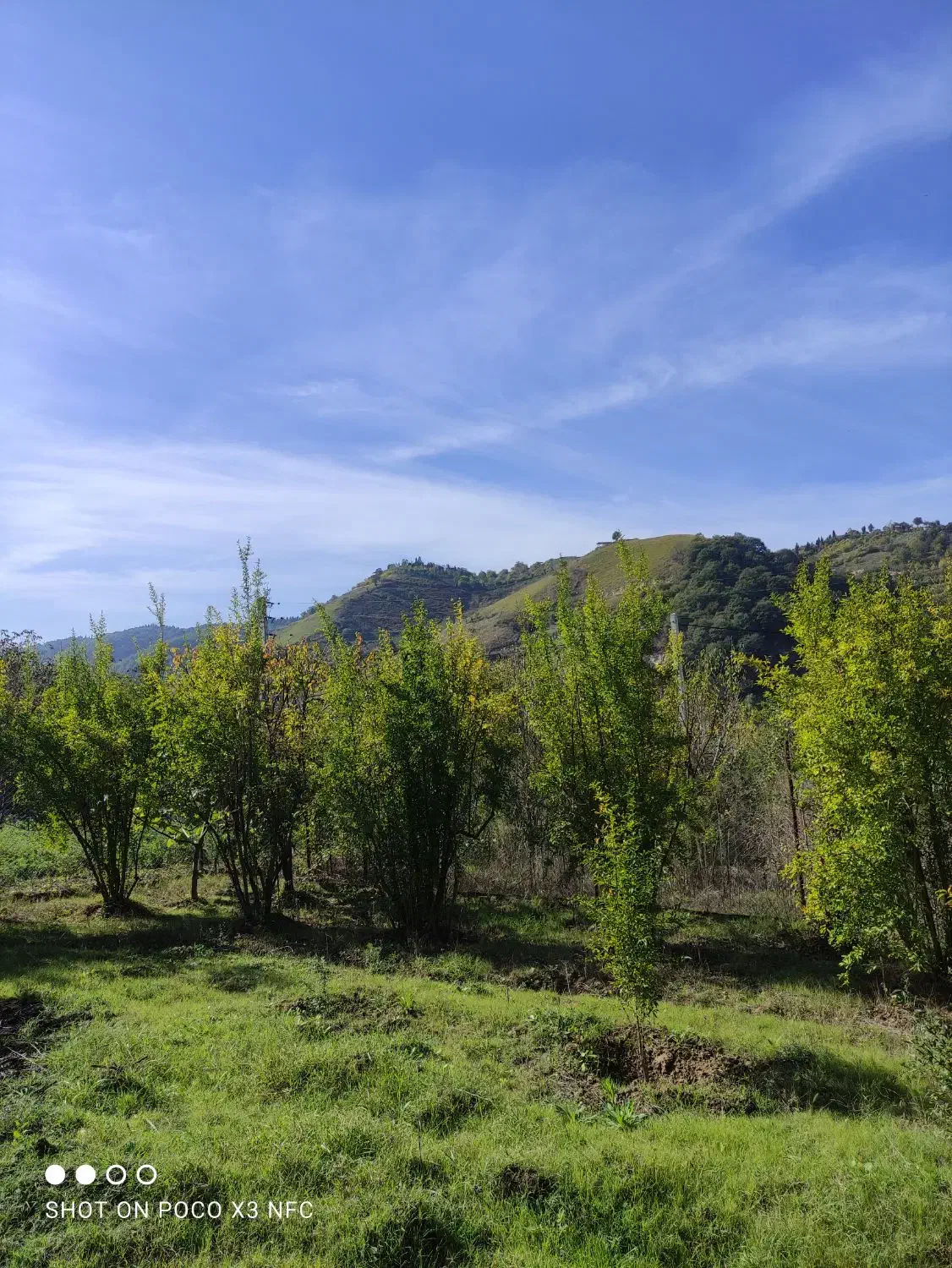 زمین باغی ویلا|فروش خانه و ویلا|رستمکلا, |دیوار