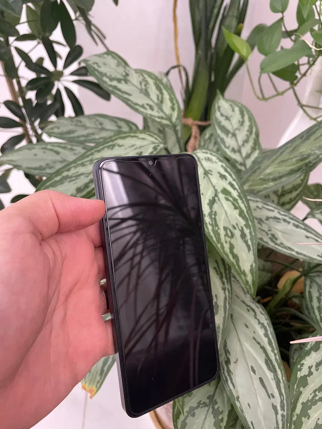 سامسونگ A06 نو|موبایل|کرمانشاه, |دیوار