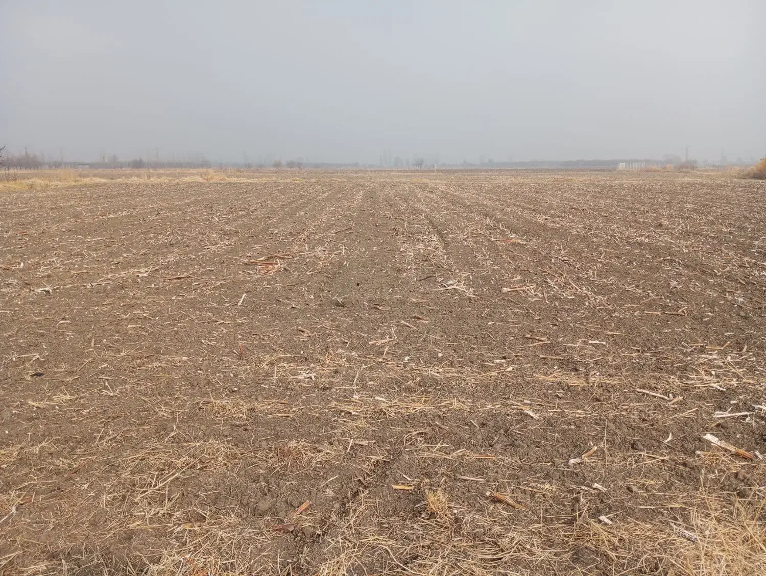 زمین اجاره ای|اجارهٔ دفتر صنعتی، کشاورزی، تجاری|محمدبار, |دیوار