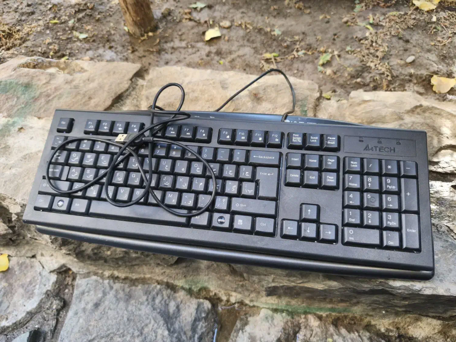 موس و کیبورد|قطعات و لوازم جانبی رایانه|لواسان, |دیوار