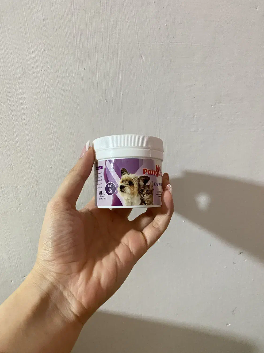 لوازم سگ|لوازم جانبی حیوانات|رشت, امین الضرب|دیوار