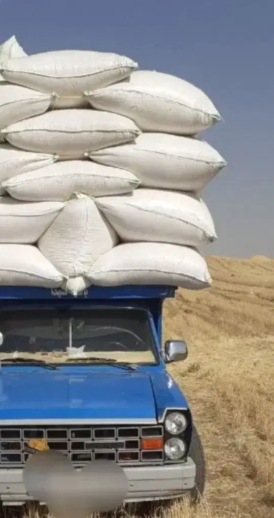 حمل بار وانت نیسان|خدمات حمل و نقل|دینور, |دیوار