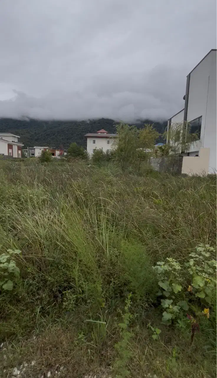 فروش زمین ۲۰۰متری با جواز ساخت محدوده نمک آبرود|فروش زمین و ملک کلنگی|هچیرود, |دیوار